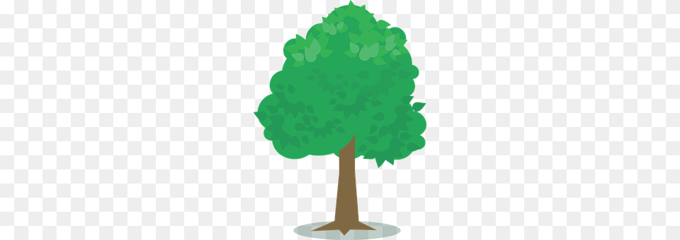 Green Plant, Tree, Grove, Land Png Image