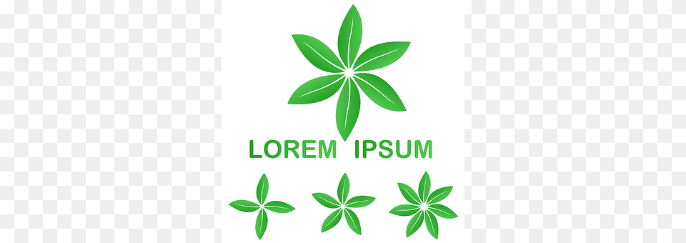 Green Herbal, Herbs, Leaf, Plant Png Image