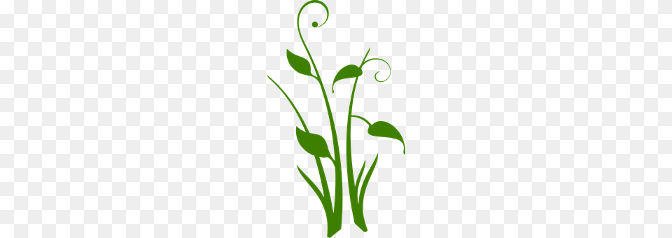 Green Free Png