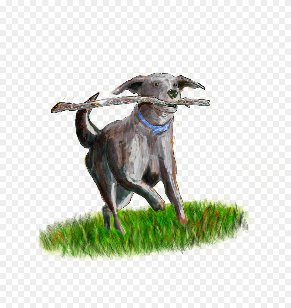 Green, Art, Animal, Canine, Dog Free Png