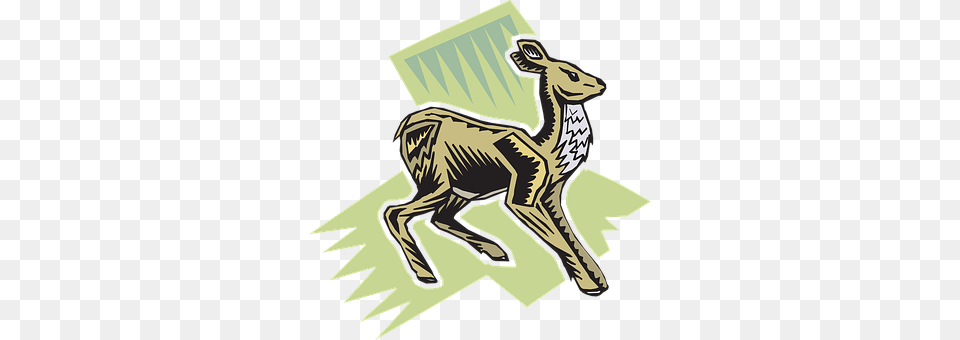 Green Animal, Deer, Mammal, Wildlife Free Png Download