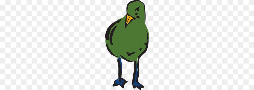 Green Animal, Beak, Bird, Adult Free Transparent Png