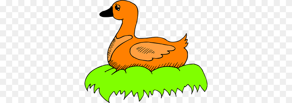 Green Animal, Bird, Duck, Goose Free Transparent Png
