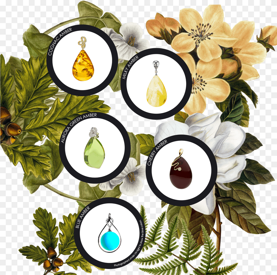 Green Amber Is Around One Million Years Old And Therefore Floral Design, Accessories, Earring, Jewelry, Plant Png
