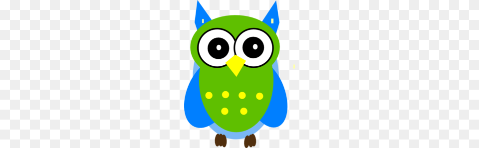 Green And Blue Owl Clip Art, Baby, Person, Animal Png