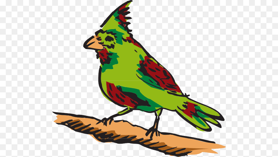 Green And Red Perched Bird Clip Art, Animal, Beak, Cardinal Free Png Download