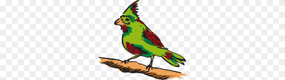 Green And Red Perched Bird Clip Art, Animal, Beak, Fish, Sea Life Free Transparent Png