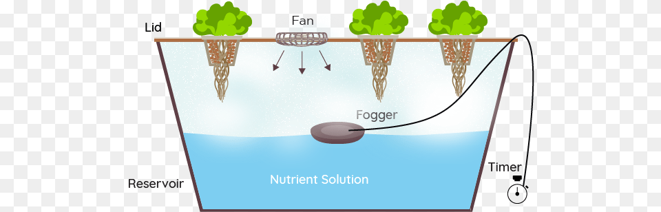 Green And Vibrant Fogponics System, Cream, Dessert, Food, Ice Cream Free Png