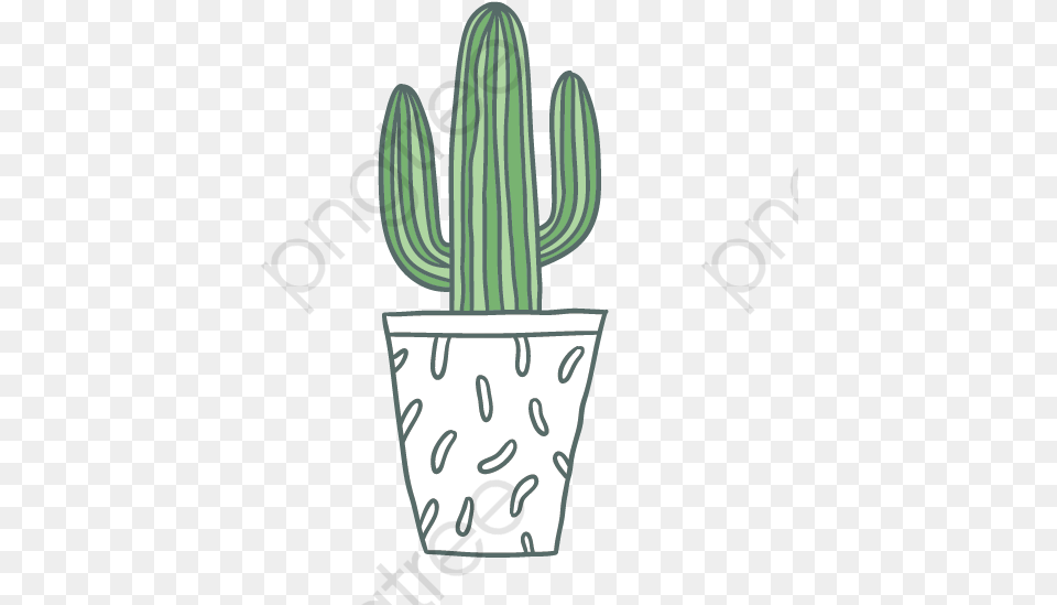 Green And With My Sweet Cactus, Plant Png