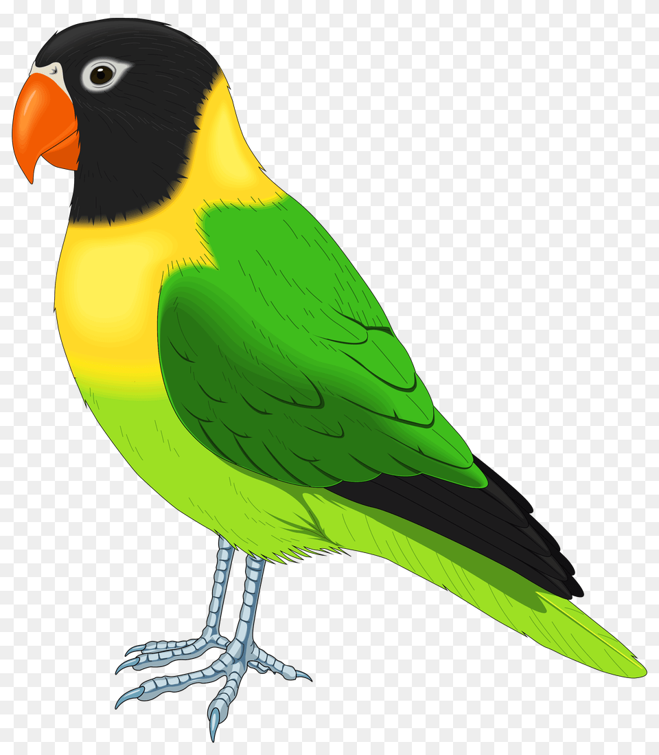Green And Yellow Bird Clipart, Animal, Beak, Parakeet, Parrot Free Transparent Png