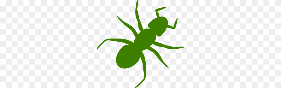 Green Ant Clip Art, Animal, Insect, Invertebrate, Fish Png