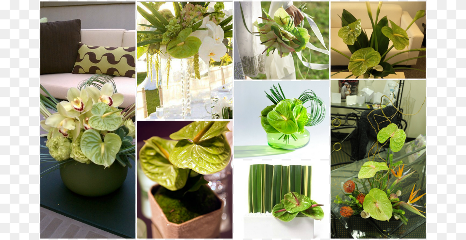 Green Anthurium Centrepiece, Plant, Flower, Flower Arrangement, Leaf Free Png Download