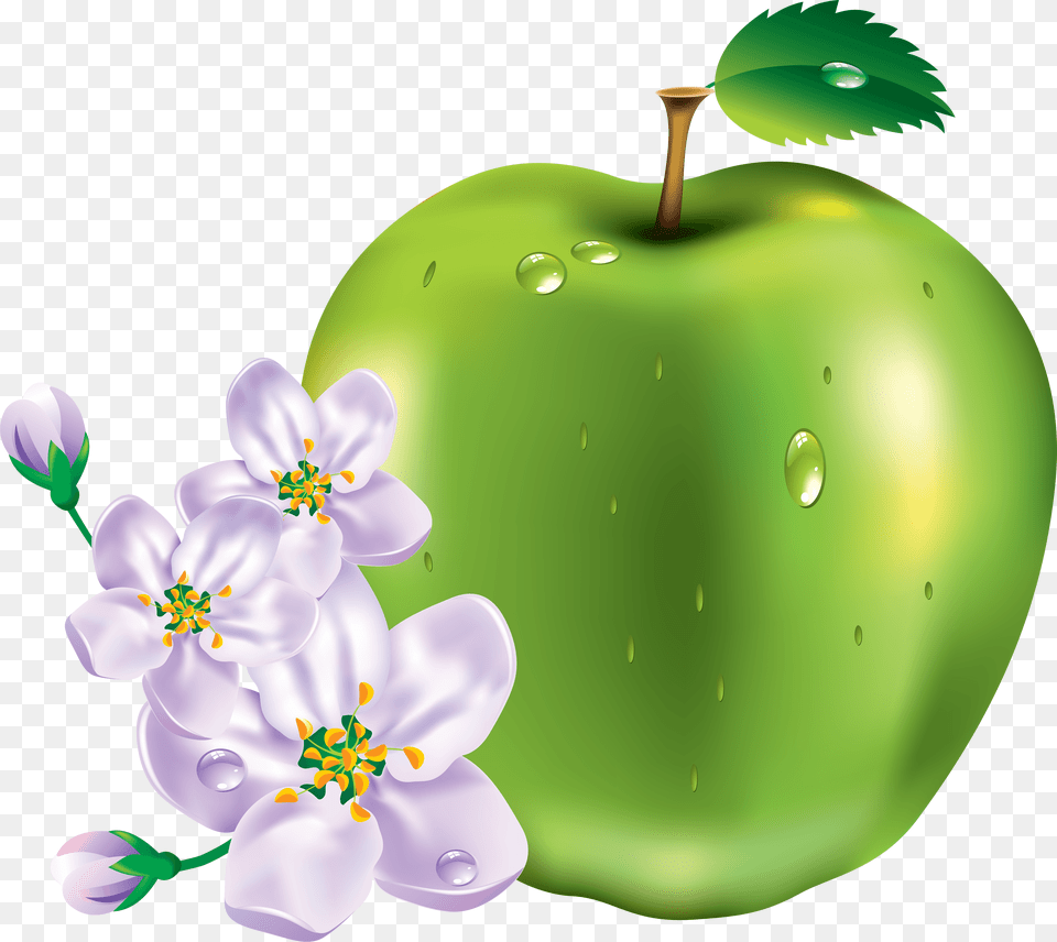Green Apple Clipart Transparent Transparent Green Apple Flowers, Plant, Fruit, Food, Produce Png