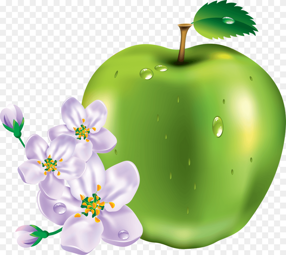 Green Apple Image, Food, Fruit, Plant, Produce Png