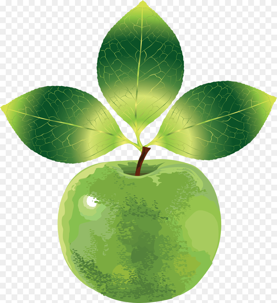 Green Apple Image Image Vector Graphics, Food, Fruit, Leaf, Plant Png