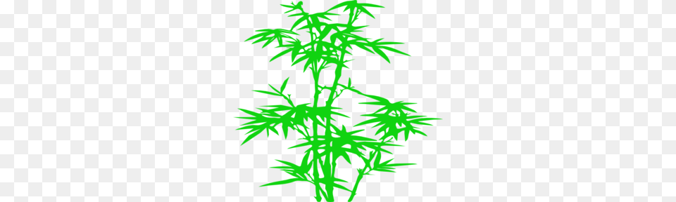 Green Bamboo Clip Art, Conifer, Plant, Moss, Leaf Free Transparent Png