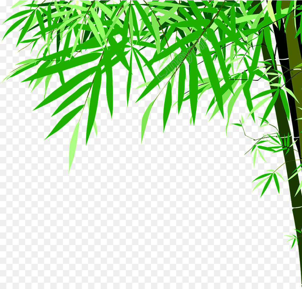 Green Bamboo Detox Foot Patch Annex, Leaf, Plant, Tree, Vegetation Free Png