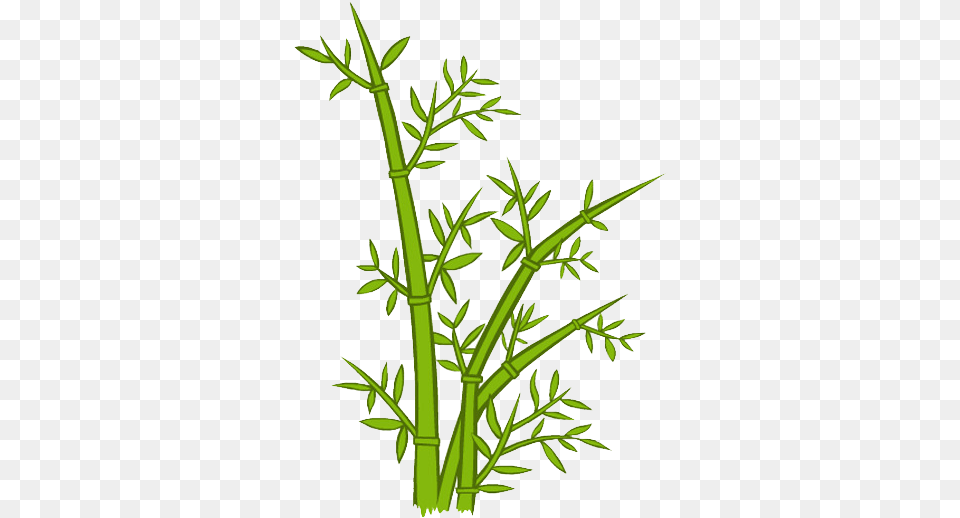 Green Bamboo Bamboo Cartoon, Plant Free Png Download