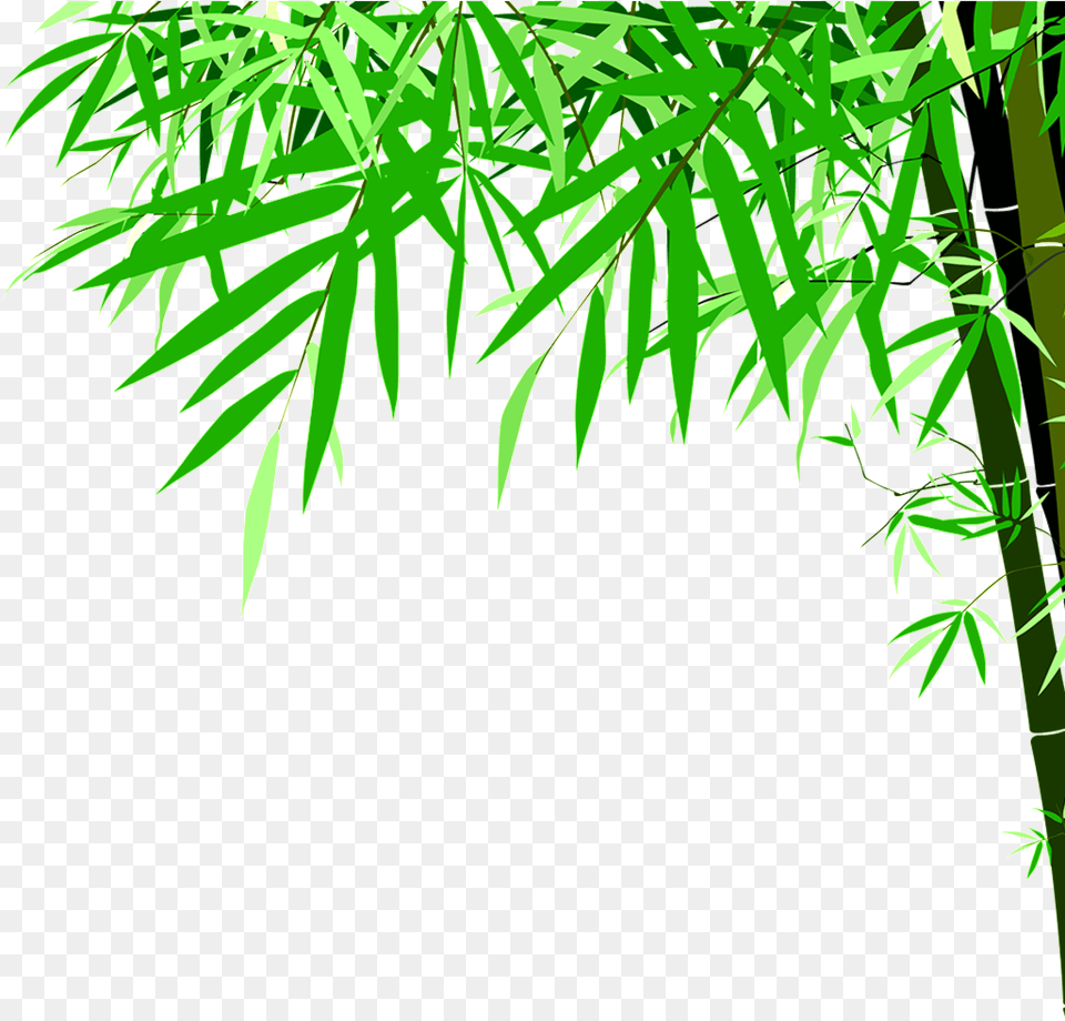 Green Bamboo High Definition Beauty Illustrator Bamboo Vector, Leaf, Plant, Tree, Vegetation Png Image