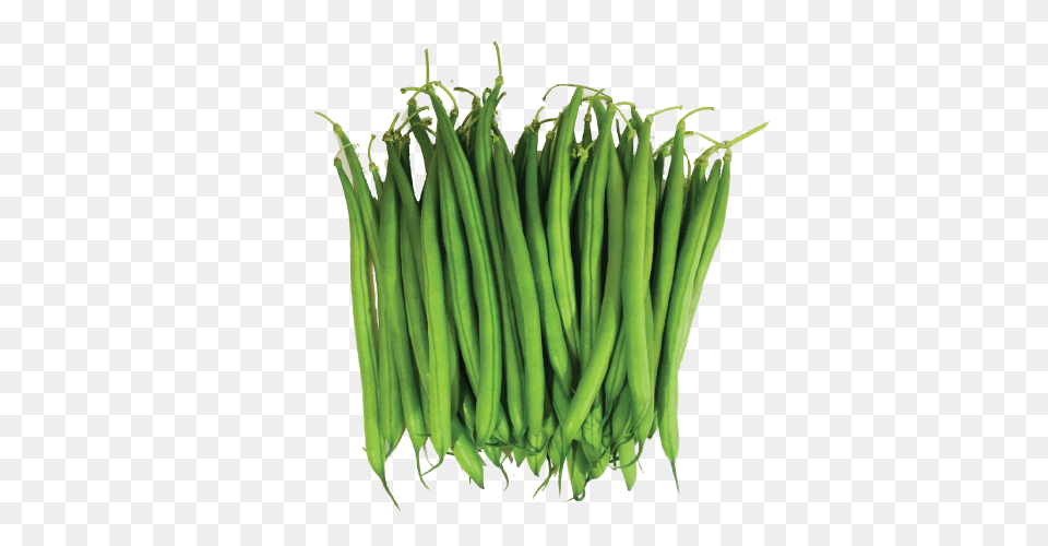 Green Bean, Food, Plant, Produce, Vegetable Png Image