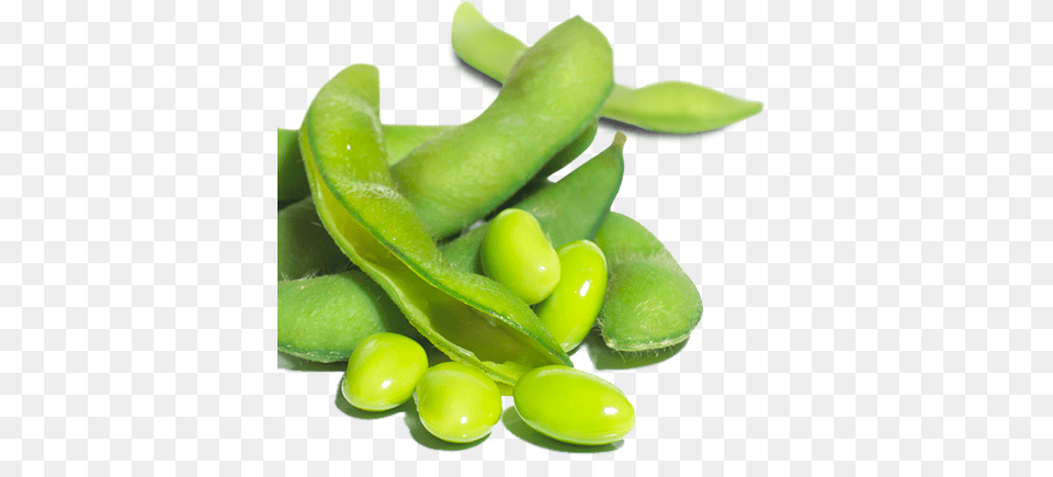 Green Bean, Food, Produce, Plant, Vegetable Png Image