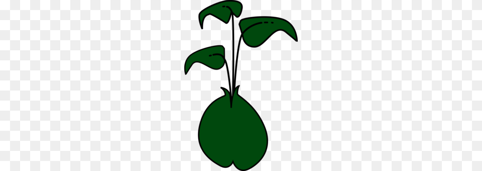 Green Bean Casserole Navy Bean Lima Bean, Symbol Png Image