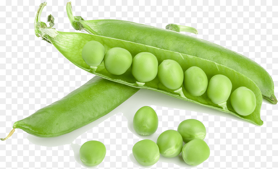 Green Bean Photos Green Bean Png