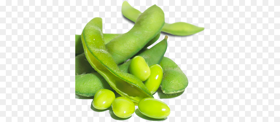 Green Bean Soy Beans Transparent, Food, Produce, Plant, Vegetable Png Image