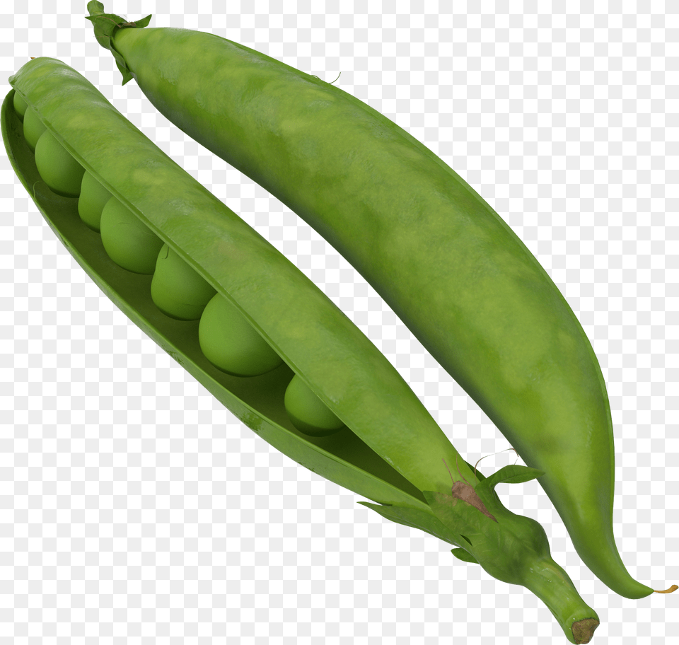 Green Bean Transparent Background Peapod 3d Model, Food, Pea, Plant, Produce Png Image