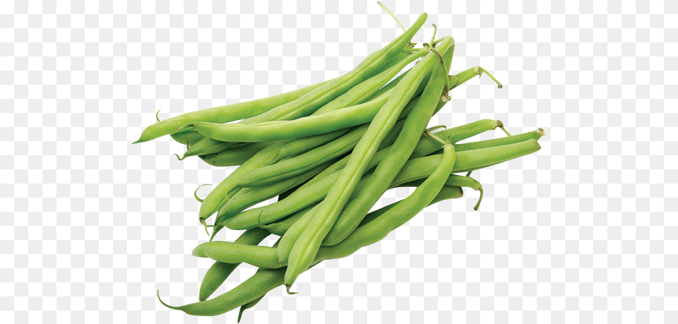 Green Beans 1 Lbdata Rimg Lazydata Rimg Scale Haricots, Bean, Food, Plant, Produce Free Png Download