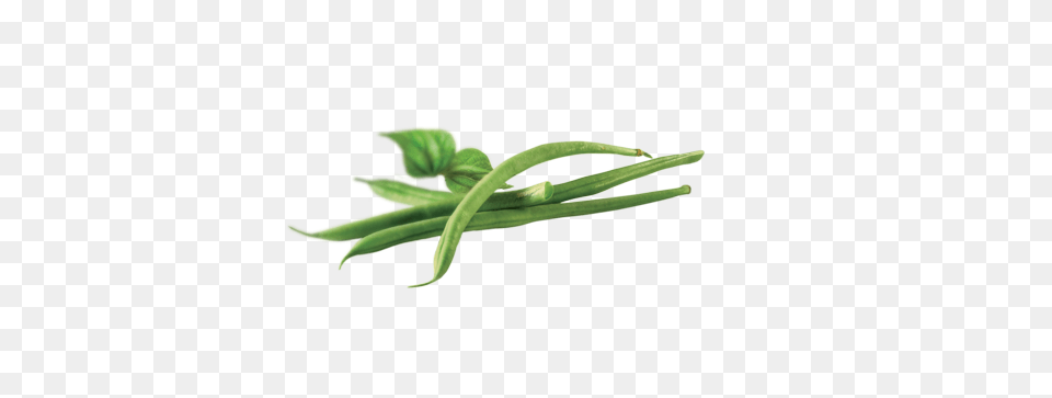 Green Beans, Food, Produce, Bean, Plant Free Transparent Png