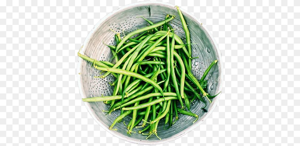 Green Beans Bowl Green Bean, Food, Plant, Plate, Produce Free Transparent Png