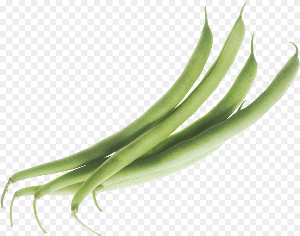 Green Beans Clip Art, Bean, Food, Plant, Produce Png Image