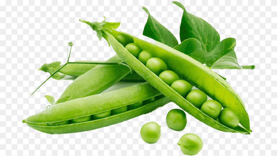 Green Beans Image Green Beans, Vegetable, Produce, Plant, Pea Free Png Download