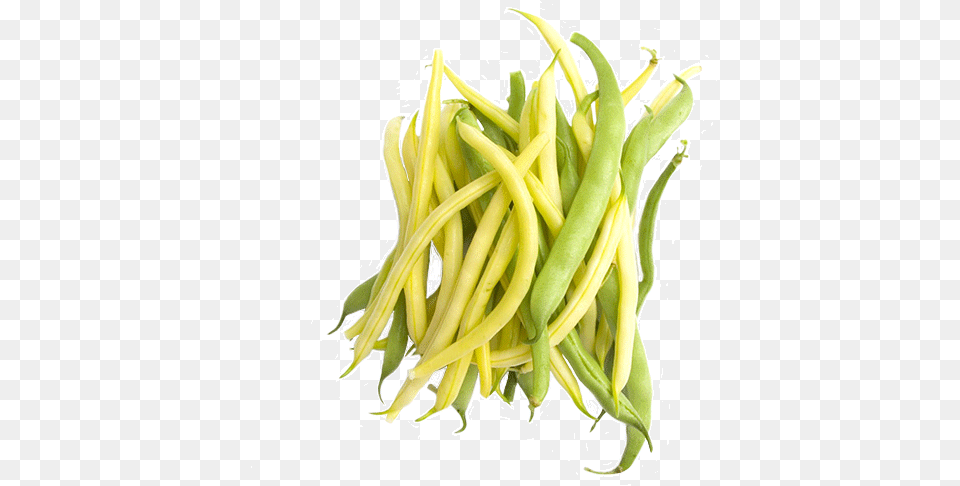 Green Beans Eatnakedla Yellow Green Beans, Bean, Food, Plant, Produce Png