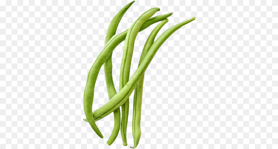 Green Beans Image Green Bean Clipart, Food, Plant, Produce, Vegetable Free Png
