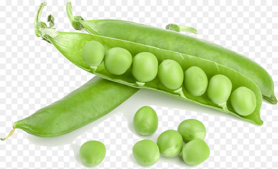 Green Beans Green Bean Free Png