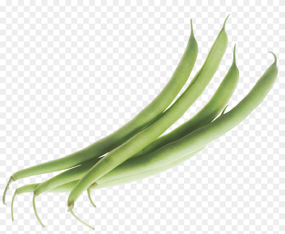 Green Beans Image Green Bean, Food, Plant, Produce, Vegetable Free Png Download