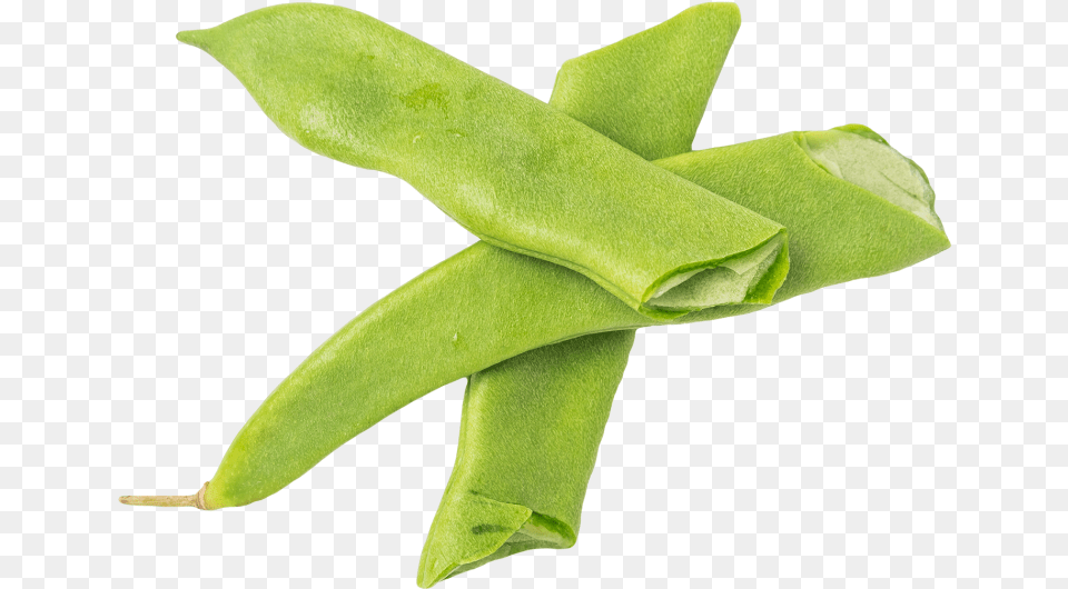 Green Beans Sweet Gum, Food, Produce, Bean, Plant Png