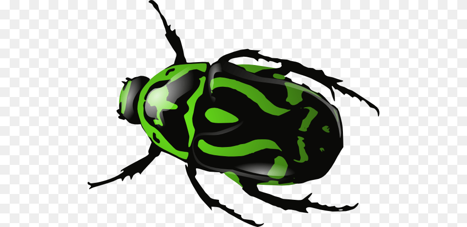Green Beetle Clip Art, Animal, Dung Beetle, Insect, Invertebrate Free Png