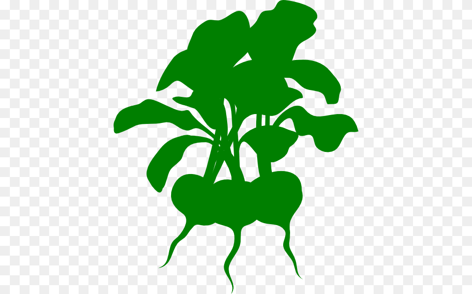 Green Beets Clip Art, Leaf, Plant, Food, Produce Png