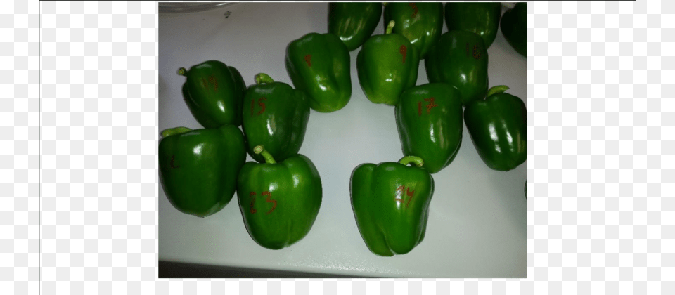 Green Bell Pepper, Bell Pepper, Food, Plant, Produce Png