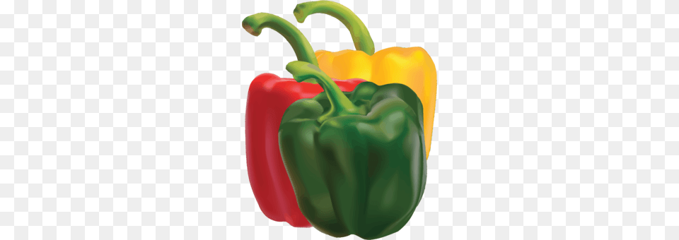 Green Bell Pepper Chili Pepper Black Pepper Pimiento, Bell Pepper, Food, Plant, Produce Free Png Download