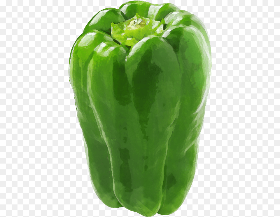Green Bell Pepper Green Bell Pepper, Bell Pepper, Food, Plant, Produce Free Transparent Png
