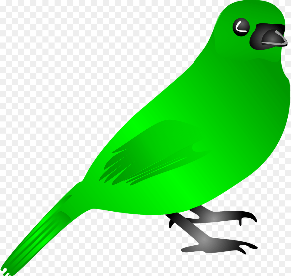 Green Bird Clipart, Animal, Beak, Finch, Jay Free Png