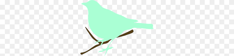Green Bird On Twig Clipart For Web, Animal, Finch, Jay, Blackbird Free Transparent Png