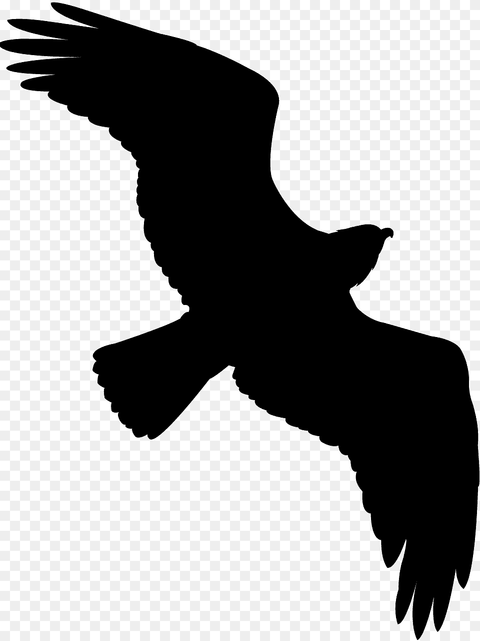 Green Bird Silhouette Flying, Animal, Vulture, Kite Bird, Person Free Png Download