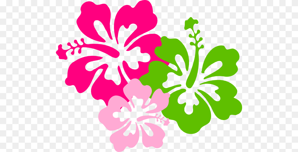 Green Birthday Wallpaper Hibiscus Pink Green Clip Art, Flower, Plant Png