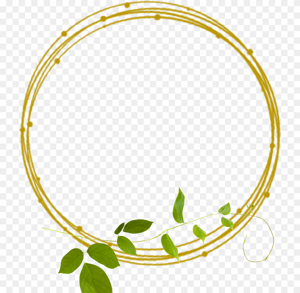 Green Border Clipart Gold Lines Frame, Hoop, Leaf, Plant, Accessories Free Transparent Png