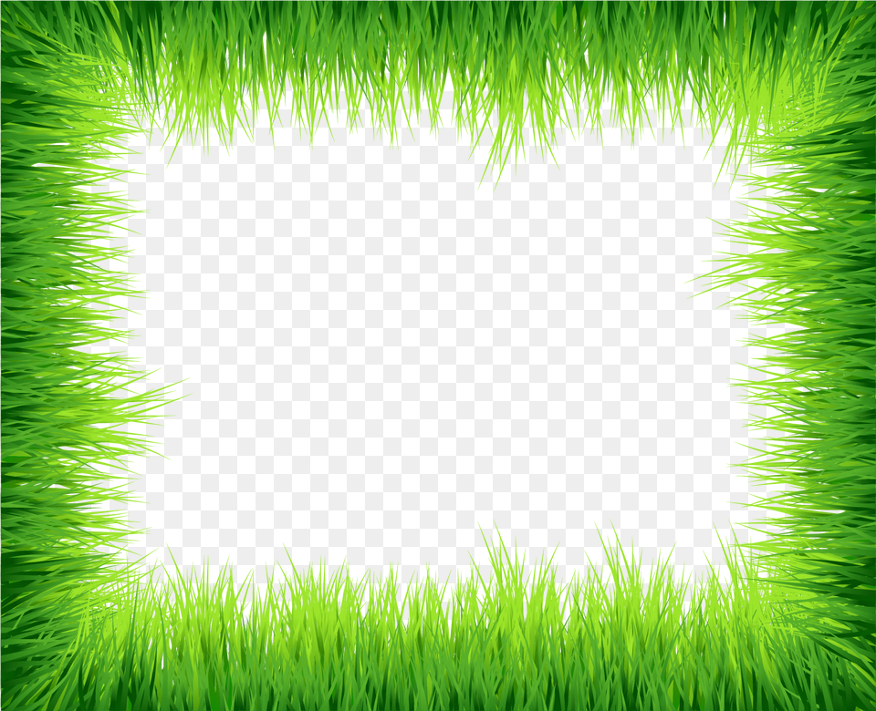 Green Border Design, Plant, Grass, Accessories, Nature Png Image